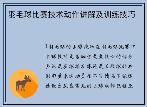 羽毛球比赛技术动作讲解及训练技巧